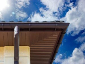gutters cleaning services