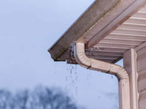gutters cleaning services near me
